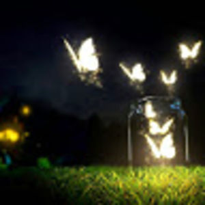 Meet your Posher, Tami